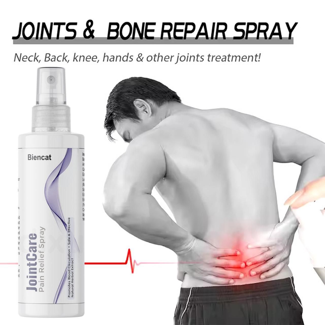 Joints, Back and other Bone Pain Relief Spray (Pack of 2)